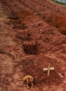 никога добре