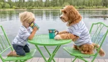 labradoodle казва Санди