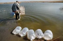 резервоари резервоари