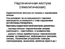 черния дроб възрастни