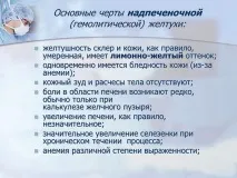 черния дроб време бременност