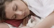 котките пуснете