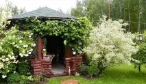 Красиві альтанки для дачі, фото готових конструкцій - Свій будинок мрії альтанки