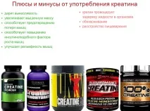 Креатин – що це таке плюси та мінуси від вживання креатиніну