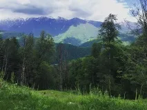 Червона Поляна влітку червона