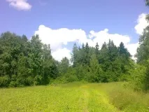 Котеджне селище Золота Шишка селище