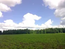 Котеджне селище Золота Шишка шишка
