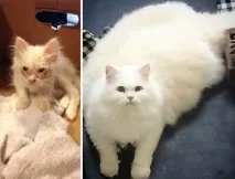 пътя намерено
