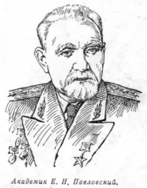 кратка кратка