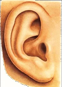 Hearing Improving, Treatment of caries в atticoantral region of the middle ear with hearing