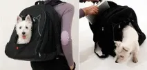 снимка снимка