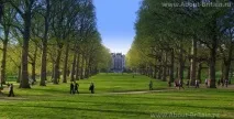 Green Park Green Park