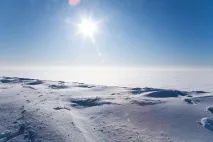 Цікаві факти про Арктику - ❶ Цікаві факти ❶ цікаві