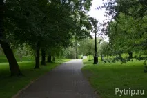 грін
