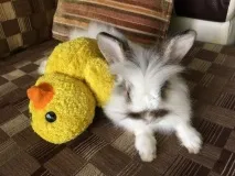 направи играчки