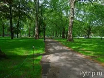 грін