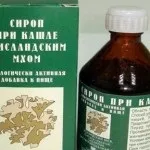 исландски исландски