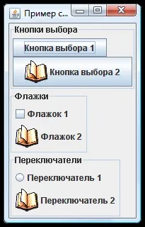 java_swing JPasswordField пряк