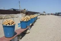 ковані