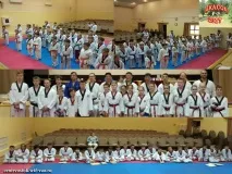 Історія Клубу - Taekwondo WTF Centr-Vostok клубу