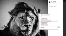 Як із чорно білої фотографії зробити кольорову - у пару кліків білої