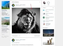 Як із чорно білої фотографії зробити кольорову - у пару кліків білої