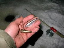 видео зимата
