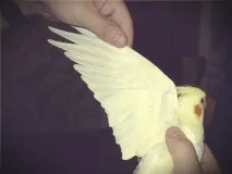 определим определим