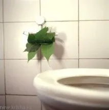 допълнителни храни запек