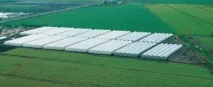 оранжерийно земя