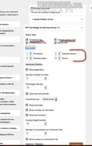 Як перевести меню налаштувань плагіна WP Tab Widget меню