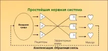 відбувається
