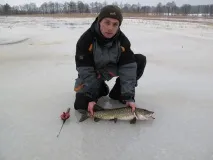 зимата през