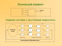 працює