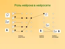 нейрона