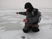 зимата зимата