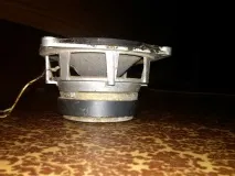 няма полза баса