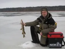 правилно правилно