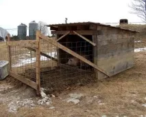 свинарник
