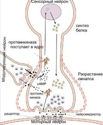 відбувається