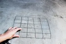 собствените