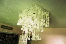 полилей
