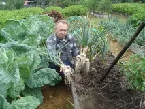 Як зробити високі грядки зробити