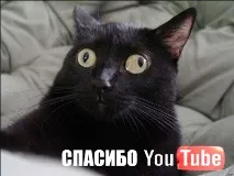 спестите спестите