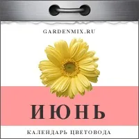 цветарски инфузия птичи