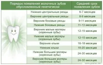 Камістад бебі (Kamistad Baby) гель для дітей, інструкція та відгуки kamistad