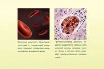 имперска имперска