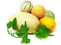 Калорійність дині, користь та шкода продукту шкода