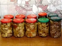 Як засолити гриби боровики на зиму в домашніх умовах боровики
