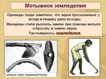 Як зародилися землеробство та скотарство зародилися